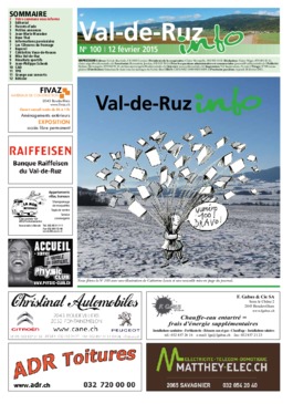 VDR info 100 12.02.2015