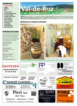 VDR info 193 20.06.2019