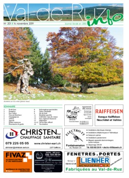 VDR info 201 14.11.2019