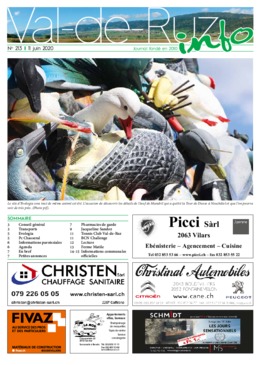 VDR info 213 11.06.2020