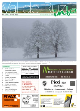 VDR info 271 02.02.2023